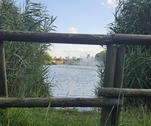 Zielona perła Bartodziejów. Odkryj uroki bydgoskiego Balatonu