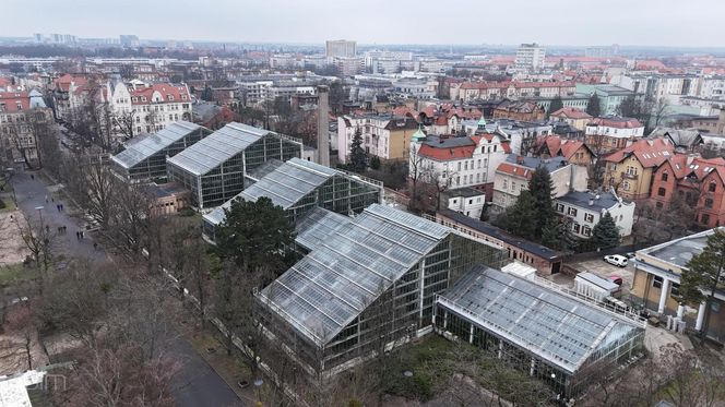 Palmiarnia Poznańska czeka na przebudowę