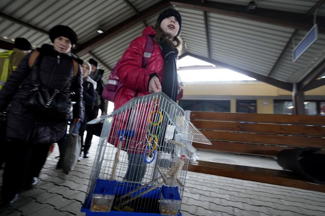 Już prawie 2 MILIONY obywateli Ukrainy uciekły przed wojną. Rosja celowo wywołuje katastrofę humanitarną