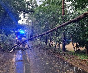 Tragiczne skutki nawałnicy na Kujawach i Pomorzu! Jednej osoba wciąż nie odnaleziono