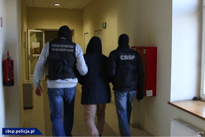 Przemycili 15 ton marihuany i sprzedali 300 kg amfetaminy. Zatrzymano grupę związaną ze środowiskiem pseudokibiców [ZDJĘCIA]