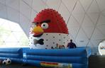 Kids Arena