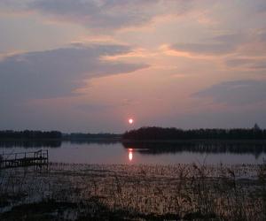 Wigierski Park Narodowy. To bezcenny obszar podlaskiej natury