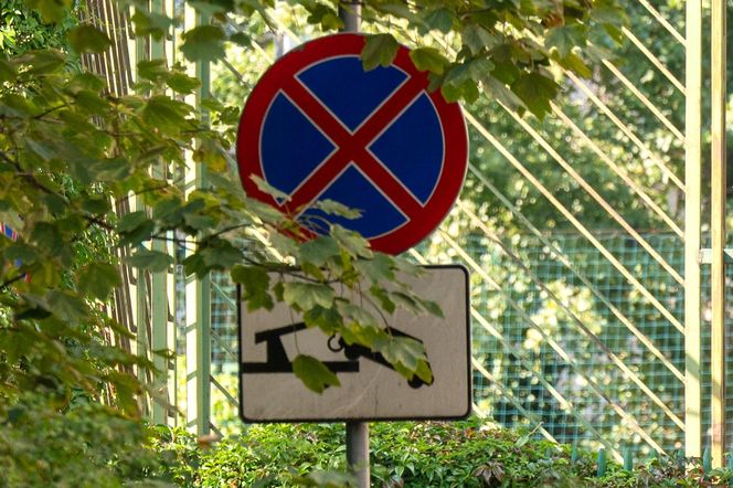 Anna Mucha ma w nosie zakazy