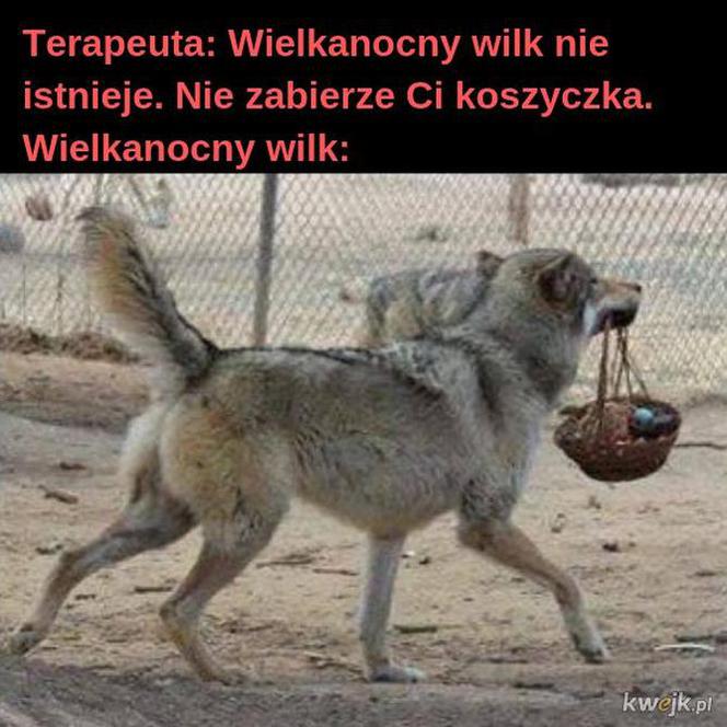 Memy Wielkanoc 2020
