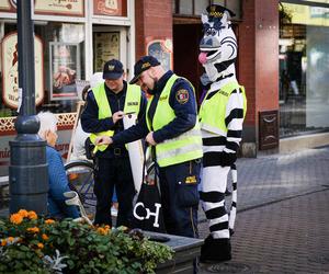 Zebra Basia rozdawała odblaski na chorzowskiej Wolce 