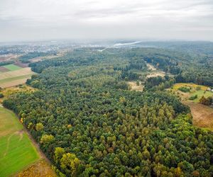 Najlepsze miejsca na jesienne wypady w Śląskiem