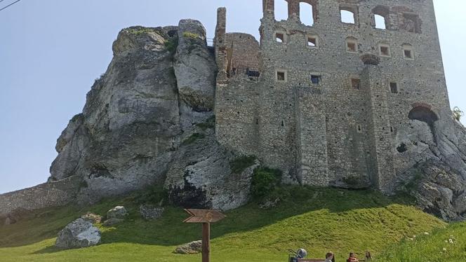 Mistrzostwa Polski w Grillowaniu Steków Ogrodzieniec 2023