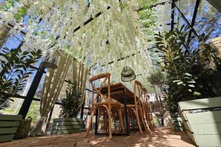  Najbardziej instagramowa szklarnia tego lata na Podkarpaciu