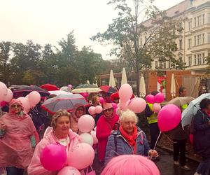 Marsz Różowej Wstążki w Szczecinie