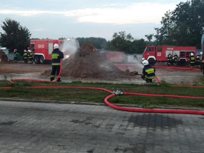 Pożar w zakładzie utylizacji odpadów pochodzenia zwierzęcego