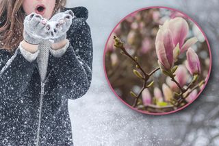 Śnieg, wiatr i przymrozki nie ustępują. Czy to ostatnie podrygi zimy? Prognoza pogody na 11.04.2025