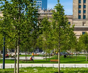 Plac Centralny Warszawa, sierpień 2025