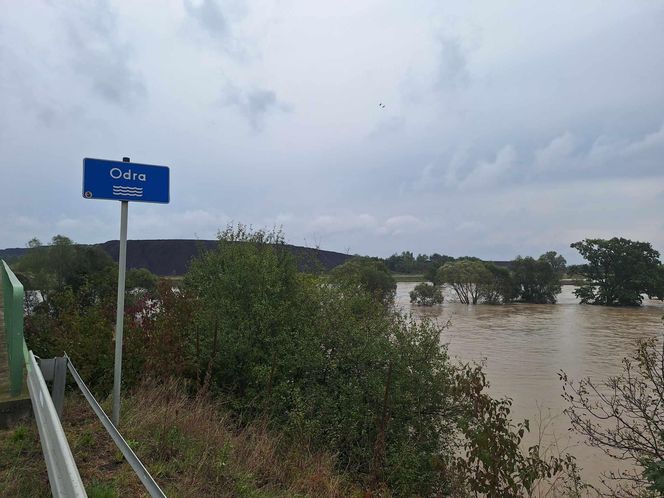 Polder Buków zagrożeniem dla powiatu raciborskiego