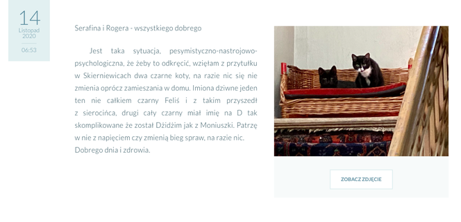 Krystyna Janda adoptowała dwa koty