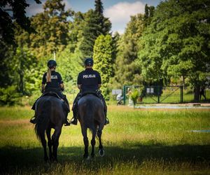 Policyjne wierzchowce od lat wspierają śląską policję