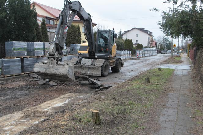  W Wołominie wycinają drzewa na potęgę! Mieszkańcy są wściekli