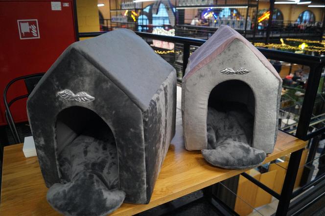 Psiaki opanowały Halę Targową! Za nami wyjątkowe targi 