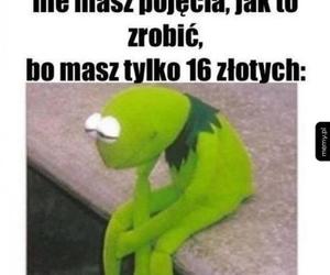 Wakacje trwają w najlepsze. Te memy rozbawią cię do łez!