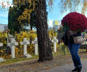 Przygotowania do Wszystkich Świętych Zamość