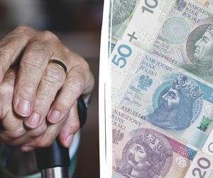 Najwyższa emerytura w Polsce - ile wynosi? Rekordziści dostają kosmiczne pieniądze