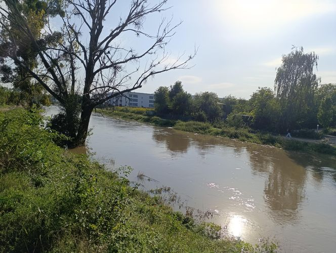 Stan rzeki Ślęza cały czas się podnosi. Przekroczono już stan alarmowy. Jak wygląda sytuacja?