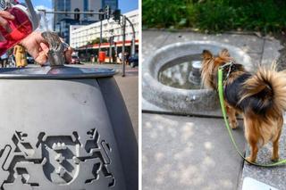 Fontanny, wodne zdroje i kurtyny. Gdańsk jest gotowy na fale upałów