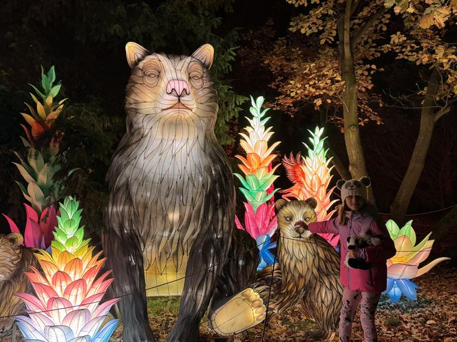 Garden of Lights we Wrocławiu