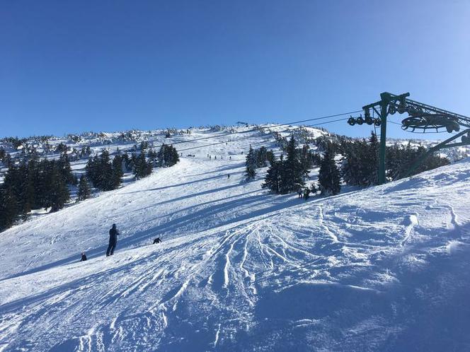 Te widoki zapierają dech w piersiach! Nie uwierzysz, że są tak blisko!