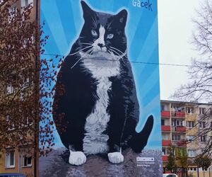 Mural z kotem Gackiem już odsłonięty