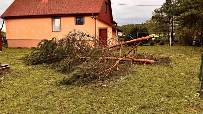 Burzowa noc w regionie Świętokrzyskim! Grad, połamane drzewa, zalane ulice