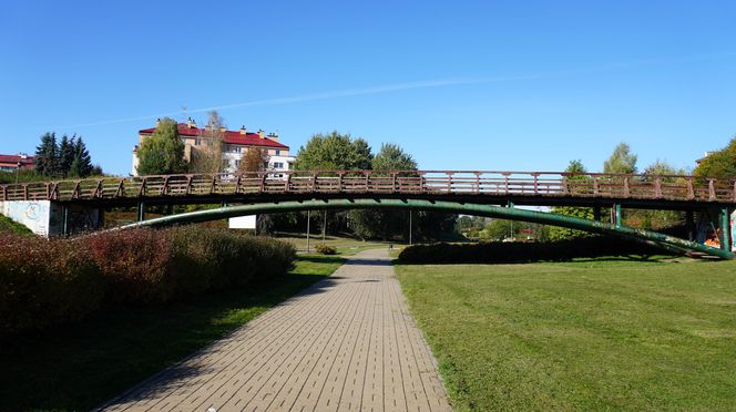 Filary porośnięte bluszczem w Lublinie! Tak się prezentują w jesiennej odsłonie