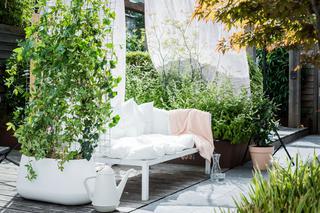 Ogród w pojemnikach - jakie rośliny sadzić w donicach na balkonie i tarasie