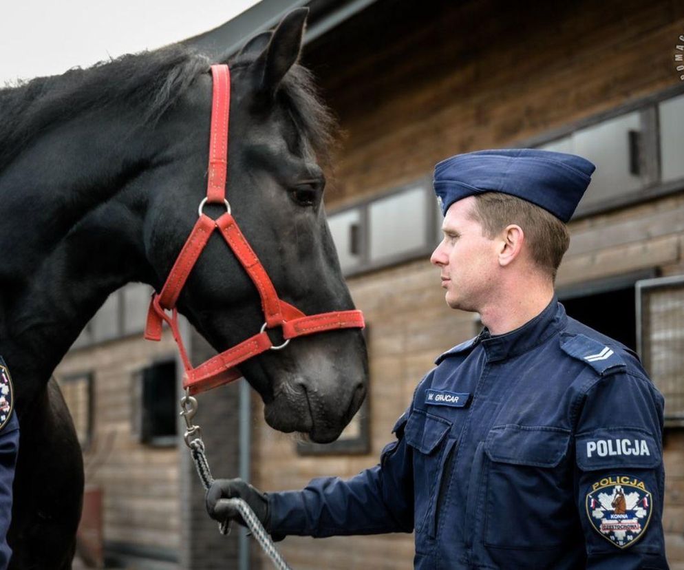 Nowe konie zasiliły śląską policję. To Donald i Rokita