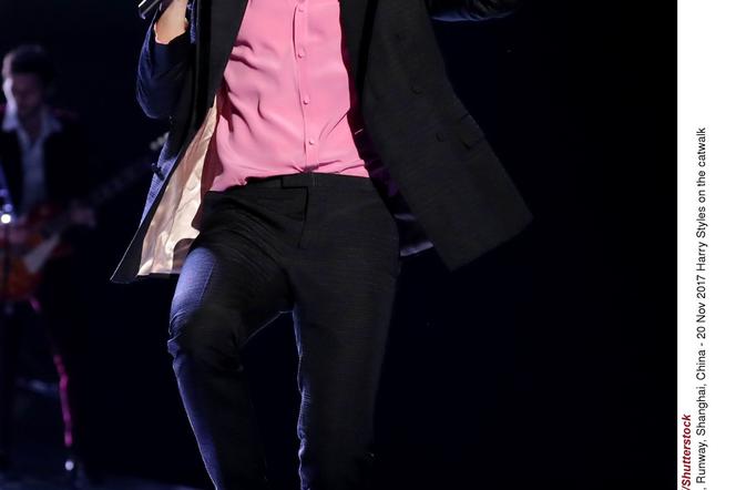 Victoria s Secret Fashion Show 2017 - Harry Styles