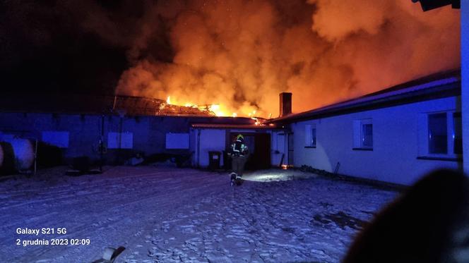 Pożar kurnika połączonego z budynkiem mieszkalnym pod Gorzowem