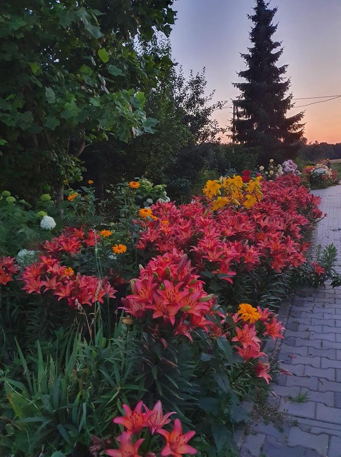 Światowy Dzień Fotografii. Z tych fotek są dumni nasi Czytelnicy! ZOBACZ