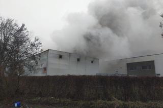 Pożar - Nowy Dwór Mazowiecki