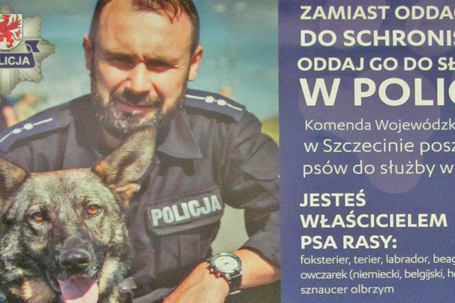 Akcja zachodniopomorskiej policji