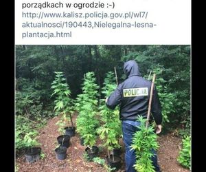 Memy o POLICJI