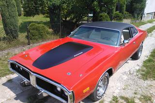 Kolekcja Darka Lemańskiego