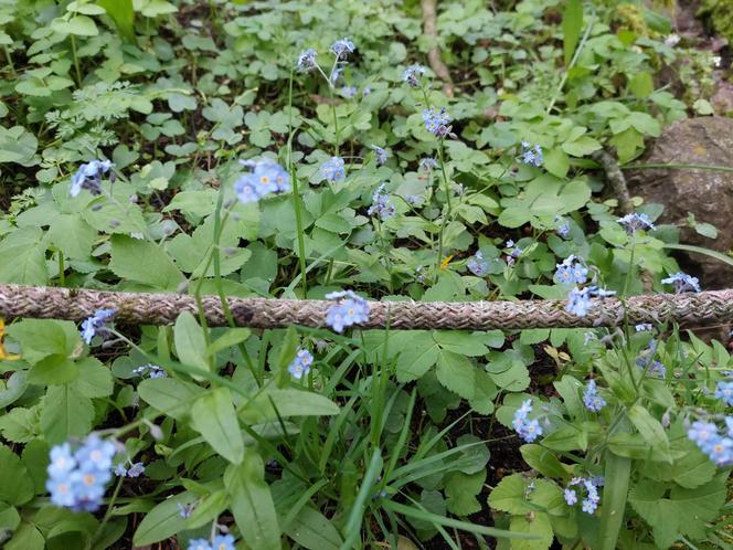 Ogród Botaniczny UKW jest jak nowy. Sprawdźcie, co się tam zmieniło!