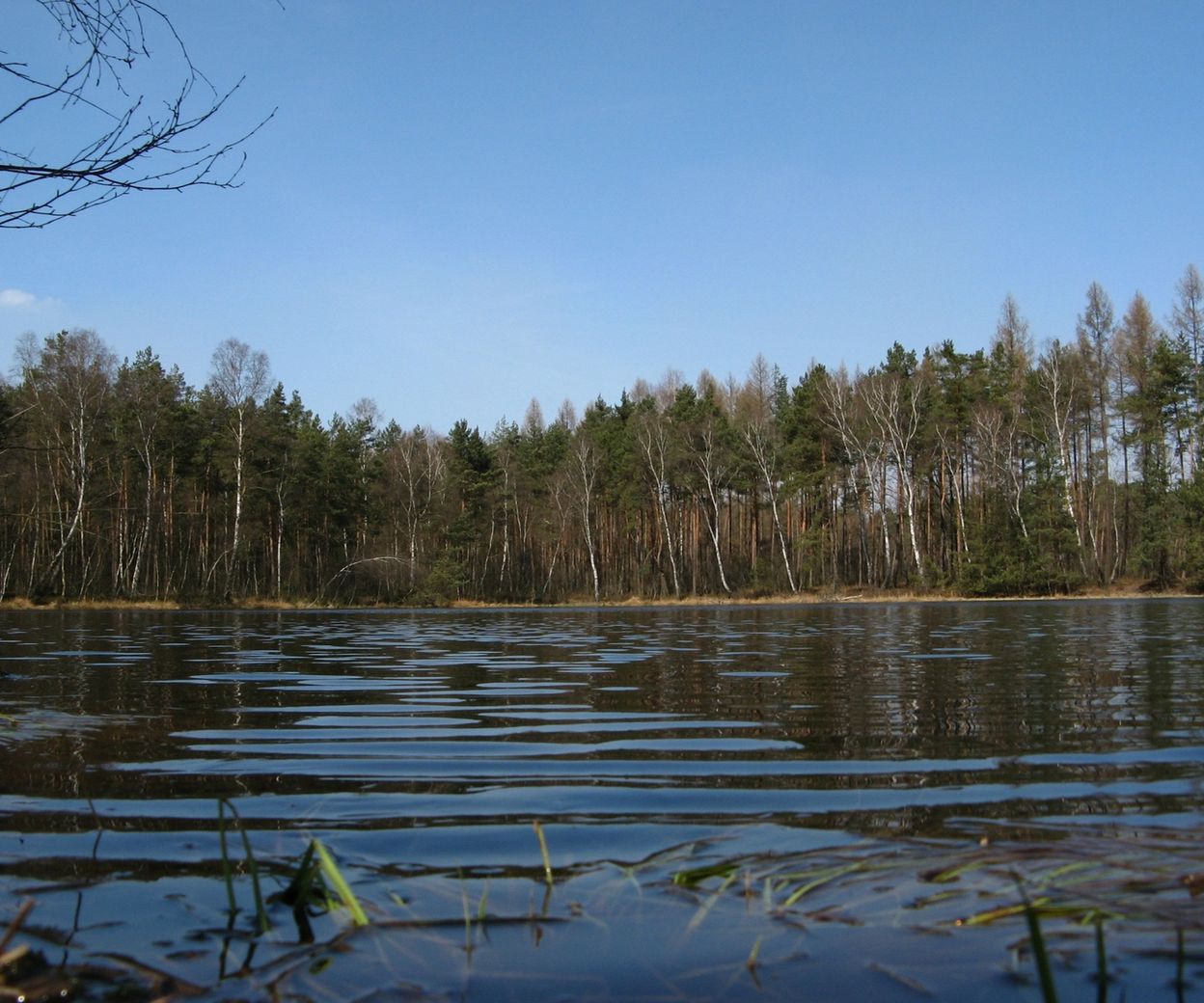 jednodniowy-wypad-z-psem-za-krak-w-8-niezawodnych-propozycji-na
