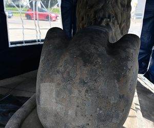 Renowacja koszalińskich lwów