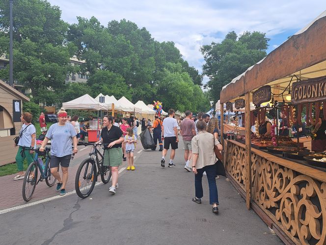 Smoczy Piknik Rodzinny 2025 w Krakowie