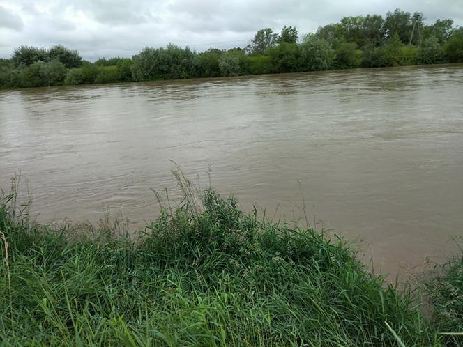 Wysoki Dunajec pod Tarnowem! Biała przy Azotach też przybiera