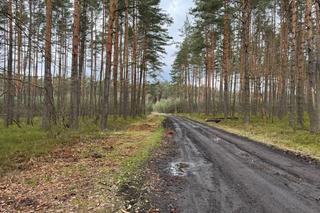 Wybuch trotylu w Solarni. Zginęły dwie osoby ZDJĘCIA