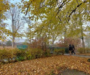 Zamojski Park jesienią