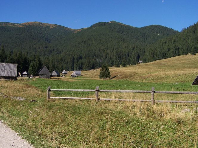 Grześ, szczyt w Tatrach