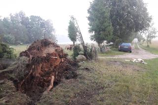 Rolnicy. Podlasie. Maciej z Kundzicz liczy straty. Wichura spustoszyła mu farmę